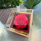 Breathing Interlocking - Daughter Birthday Necklace with Rose Box