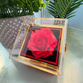 Chapters Cross - Daughter Birthday Necklace with Rose Box